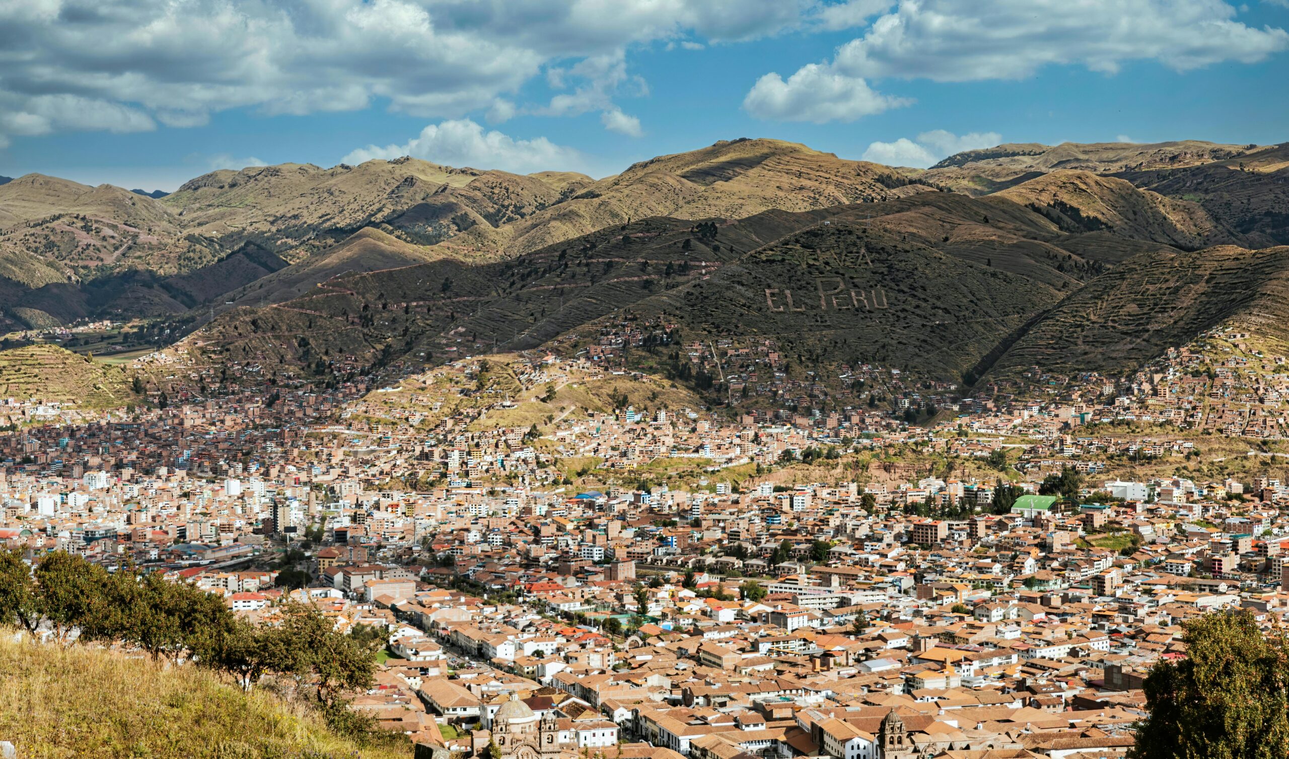 pexels-latuna-12990161