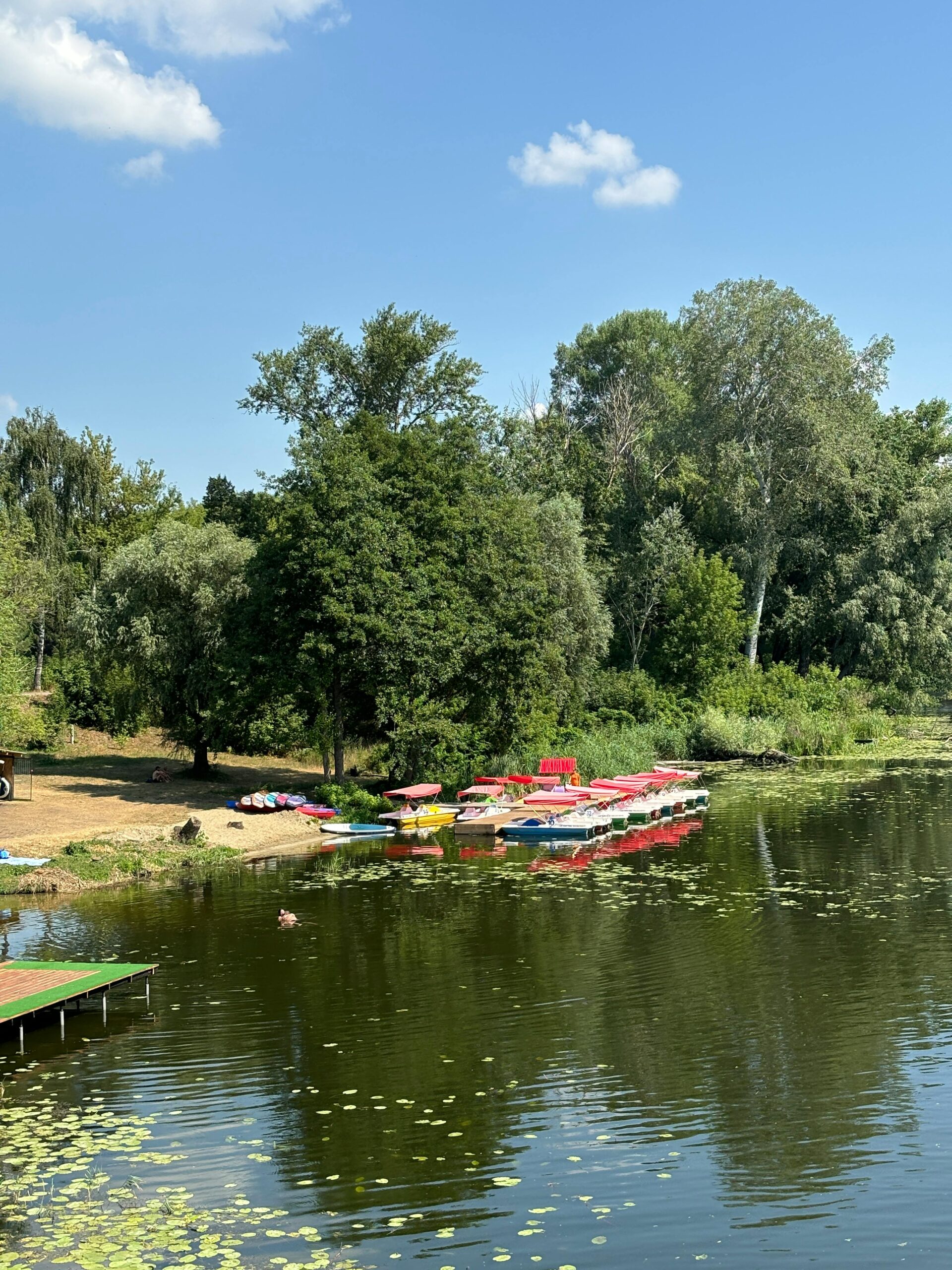 pexels-inna-million-2159545286-36682822