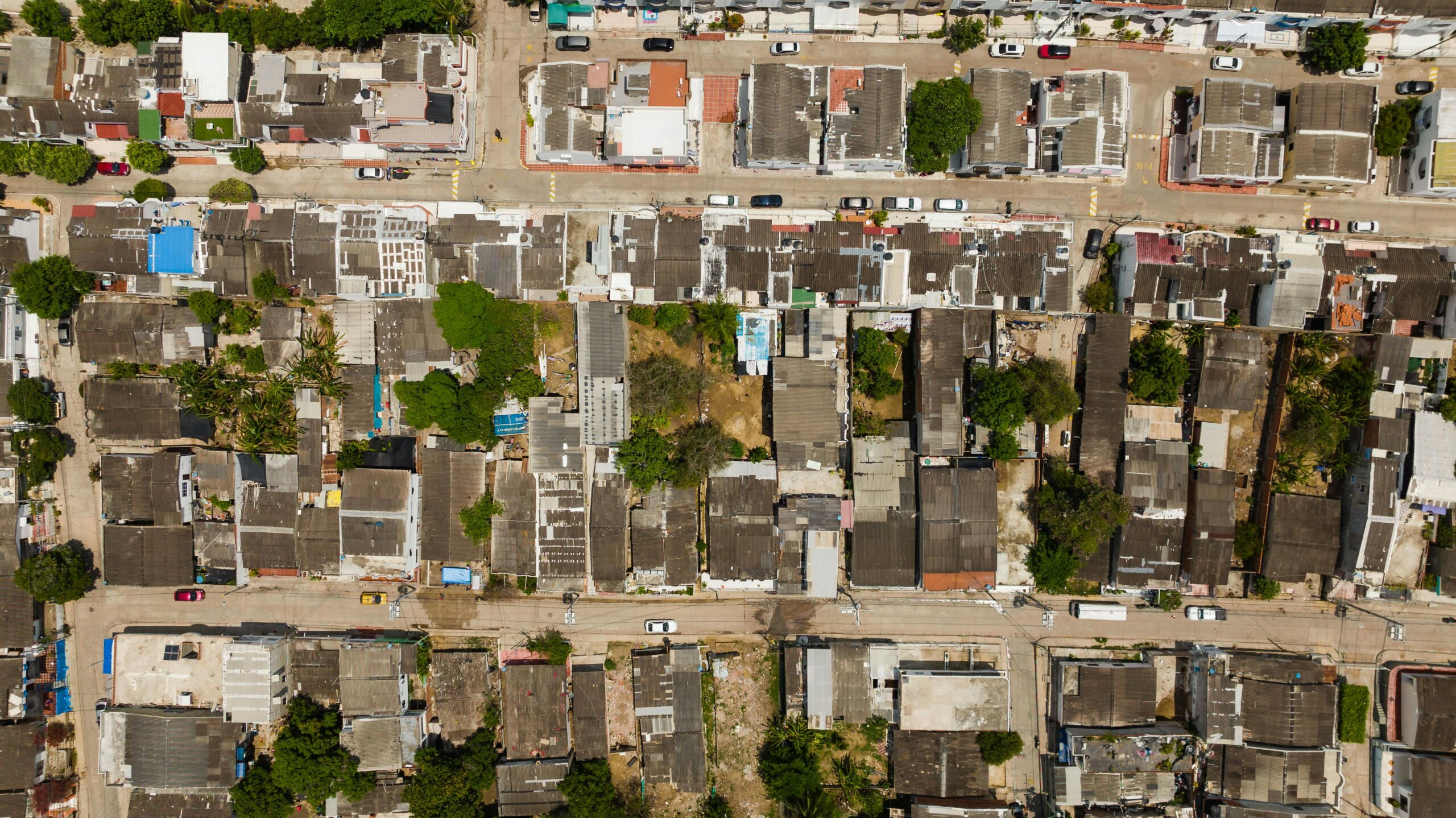 pexels-kelly-11815841