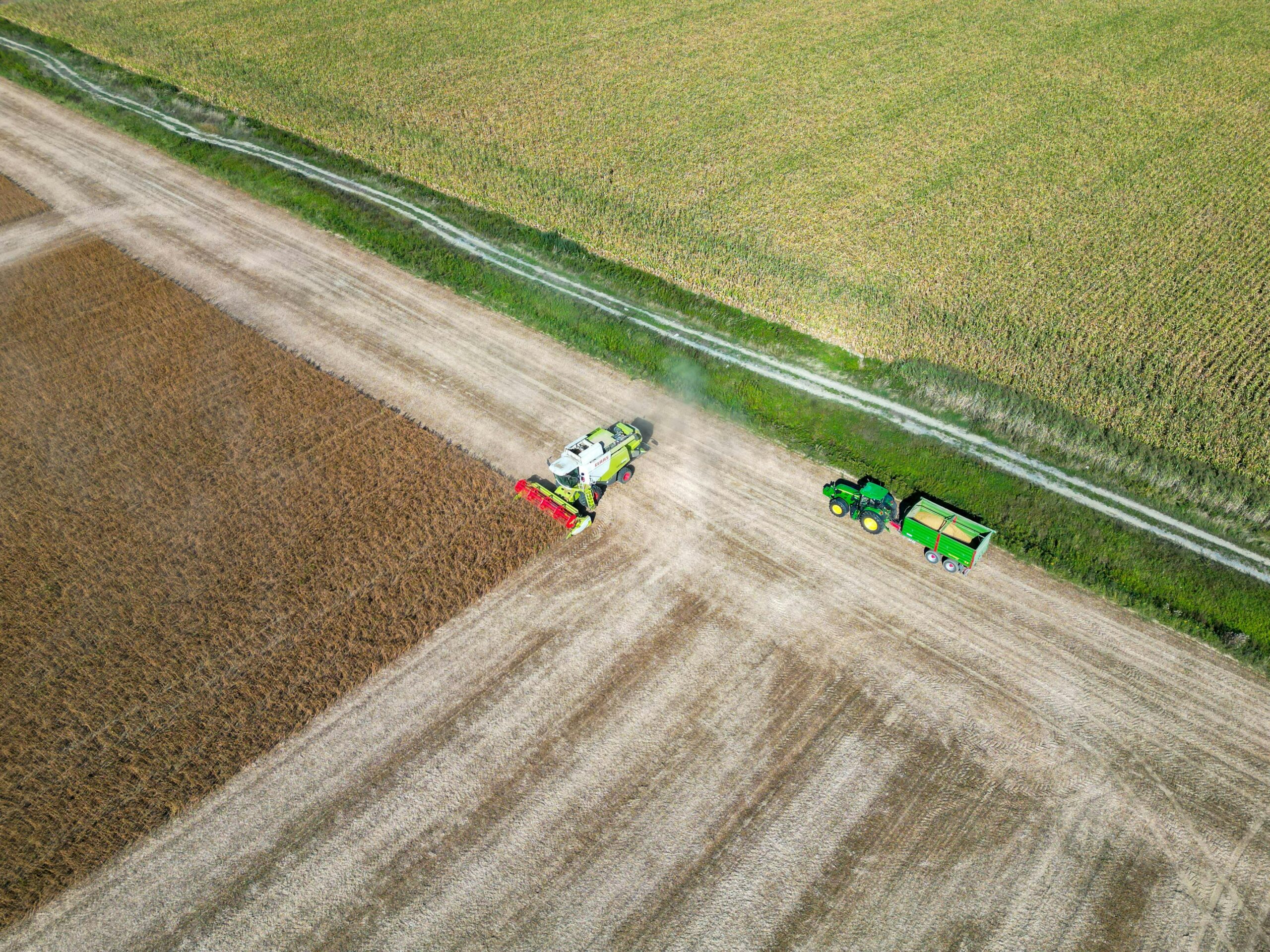 pexels-vladimirsrajber-18431217